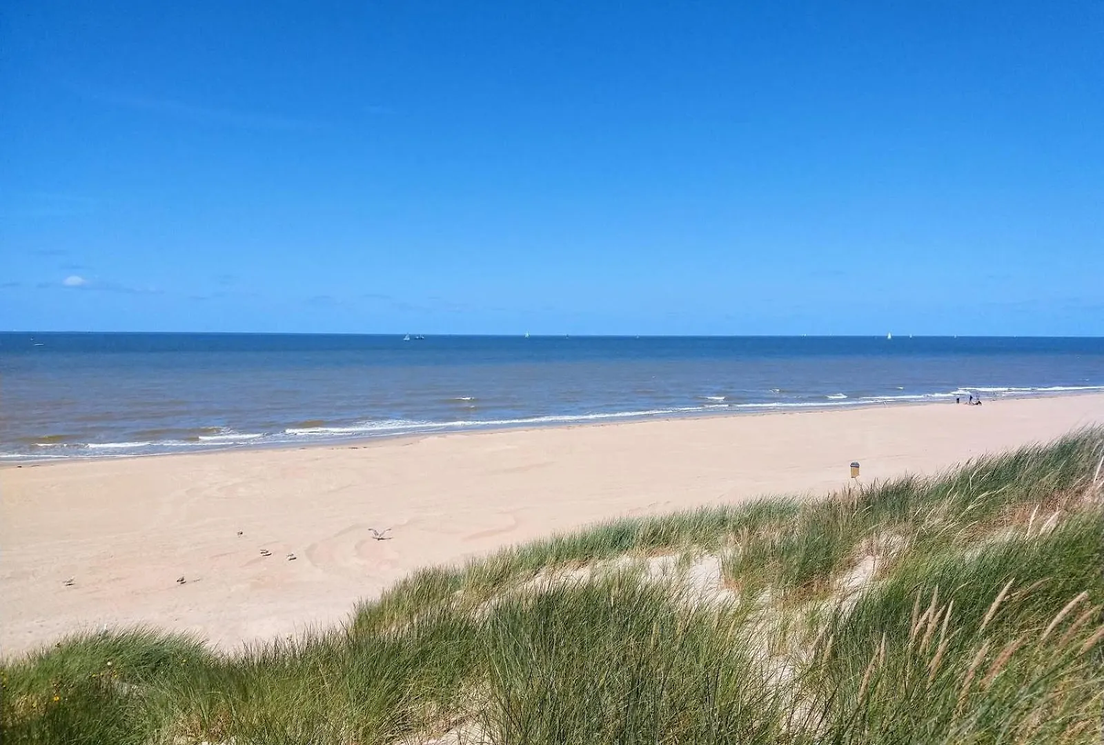 Strandchalet Bredene Belgium